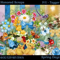 (image for) Spring Dayz - Tagger