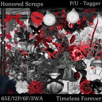 (image for) Timeless Forever - Tagger