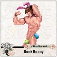 (image for) Hunk Bunny