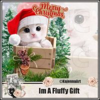 (image for) Im A Fluffy Gift