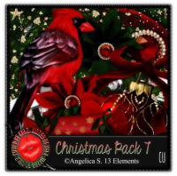 (image for) Christmas Pack 7