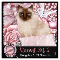 (image for) Vincent Set 2