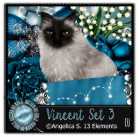 (image for) Vincent Set 3