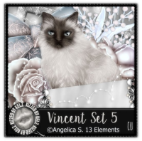 (image for) Vincent Set 5