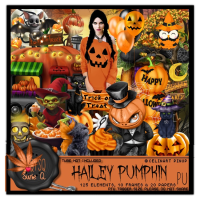 (image for) Hailey Pumpkin