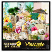 (image for) Pineapple