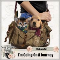 (image for) I'm Going On A Journey