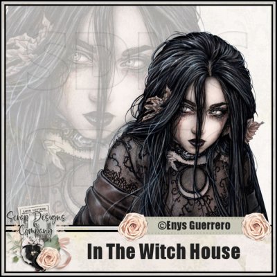(image for) In The Witch House