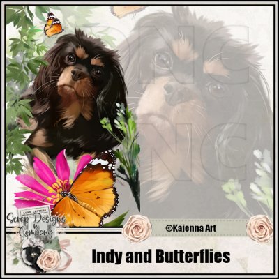(image for) Indy and Butterflies
