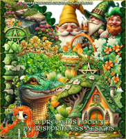 (image for) Leprechaun's Hooley