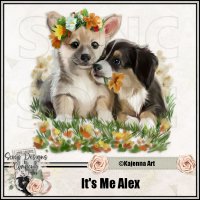 (image for) Its Me Alex