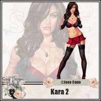 (image for) Kara 2