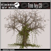 (image for) CU Tree Ivy