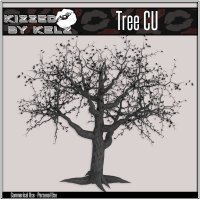 (image for) CU Tree