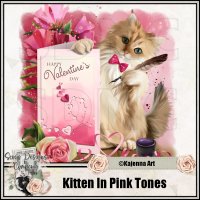 (image for) Kitten In Pink Tones