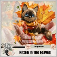 (image for) Kitten In The Leaves