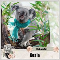 (image for) Koala