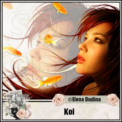 (image for) Koi