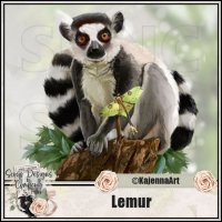 (image for) Lemur