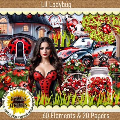 (image for) Lil Ladybug