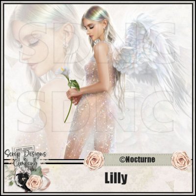 (image for) Lilly