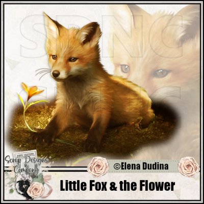 (image for) Little Fox & the Flower