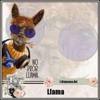 (image for) Llama