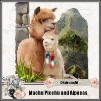 (image for) Machu Picchu and Alpacas