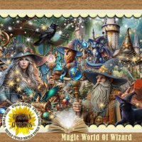 (image for) Magic World Of Wizard