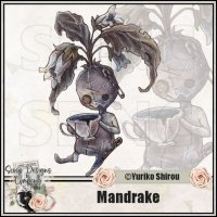 (image for) Mandrake