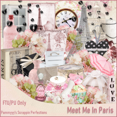 (image for) Meet Me In Paris