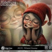 (image for) AI - CU Winter Gnome