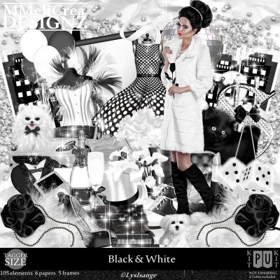 (image for) CLASSIC - PU - Black And White