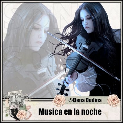 (image for) Musica en la noche