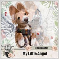 (image for) My Little Angel