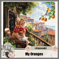 (image for) My Oranges