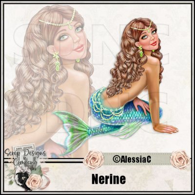 (image for) Nerine