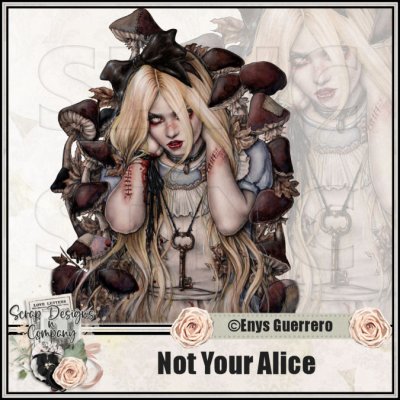 (image for) Not Your Alice