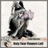 (image for) Only Your Flowers Left