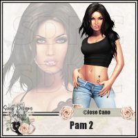 (image for) Pam 2