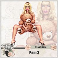 (image for) Pam 3