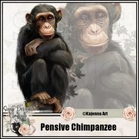 (image for) Pensive Chimpanzee