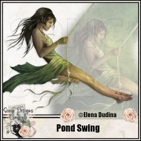 (image for) Pond Swing