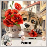 (image for) Poppies