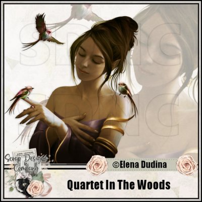 (image for) Quartet In The Woods