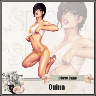 (image for) Quinn