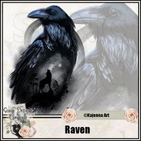 (image for) Raven