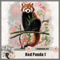 (image for) Red Panda 1
