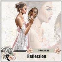 (image for) Reflection