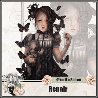 (image for) Repair